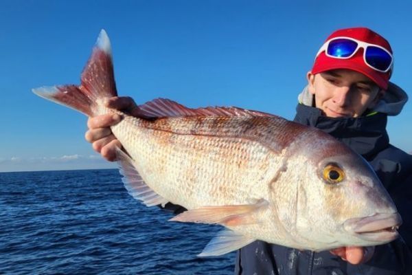 T�cnicas de pesca del lucioperca