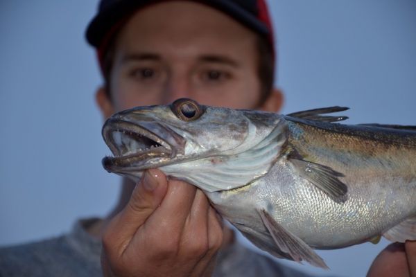 Pesca a gran profundidad