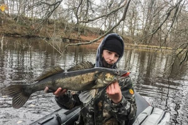Pesca del lucioperca en invierno
