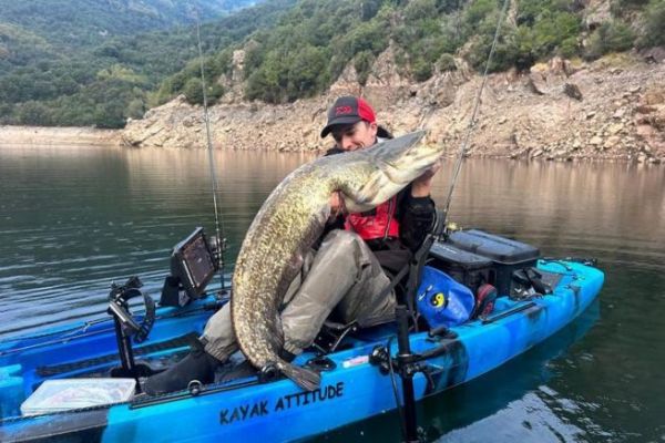 Pesca del siluro con gusano