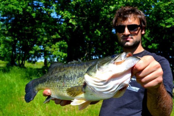 Pesca de superficie en verano
