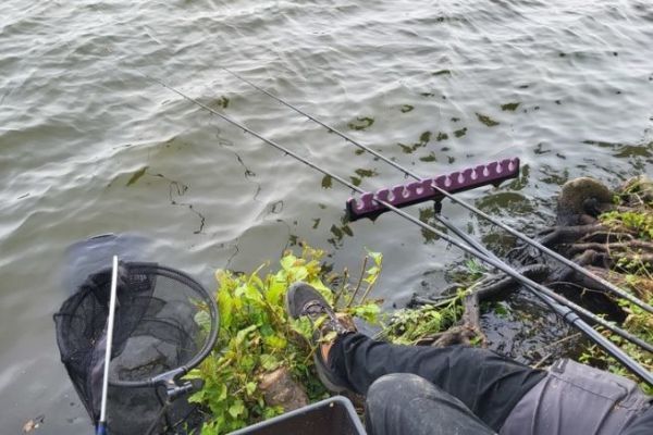 Pesca del pescado blanco