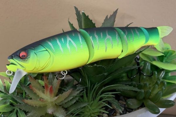 El Spine-X 190 F nada a 4 intensidades diferentes.