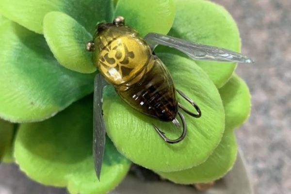 El nano siglett mide 2,4 cm.