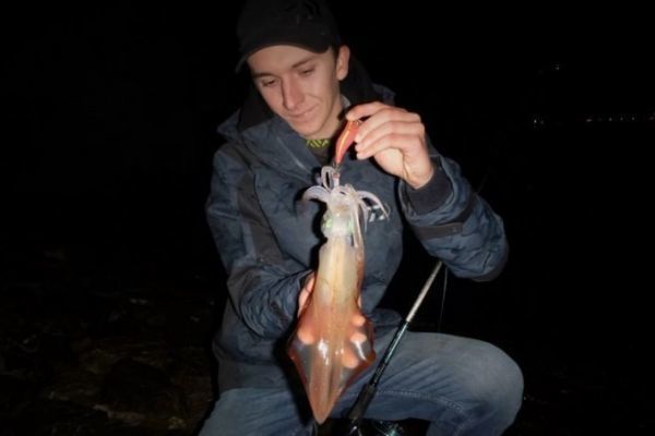 Cules son los mejores lugares para pescar calamares?