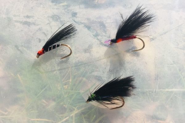 Los cormoranes son verdaderos imanes para las truchas