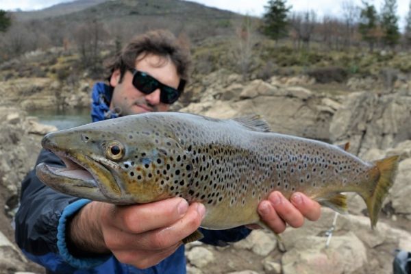 Elegir el objetivo de tu c�mara