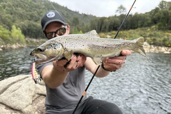 Ro, lago o arroyo, el dilema de la apertura