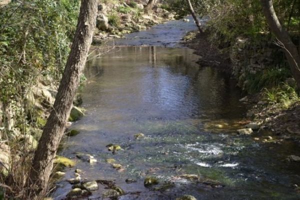 Pesca de la trucha de ro