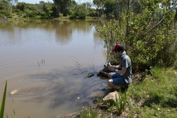 Elegir una caa para iniciarse en la pesca con seuelos