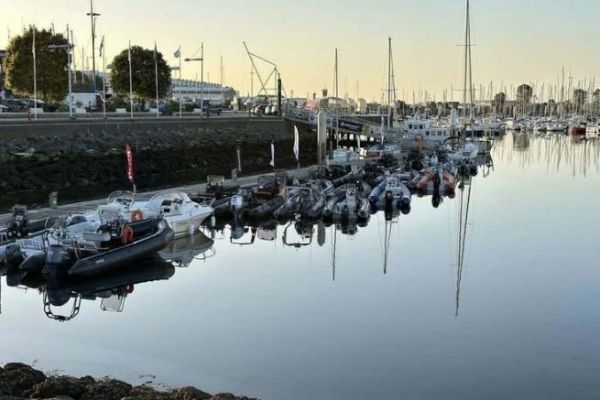 Cherbourg Open Labrax