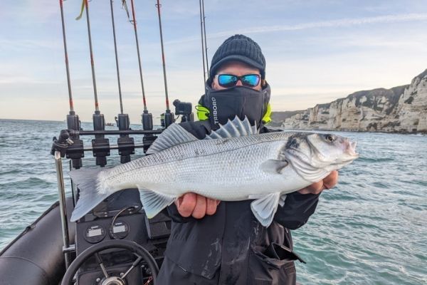 Pesca de lubinas en otoño