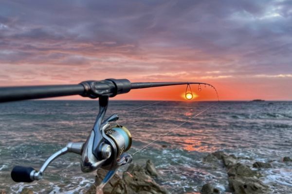 Los coeficientes de marea son cruciales para el xito de las salidas de pesca martima.