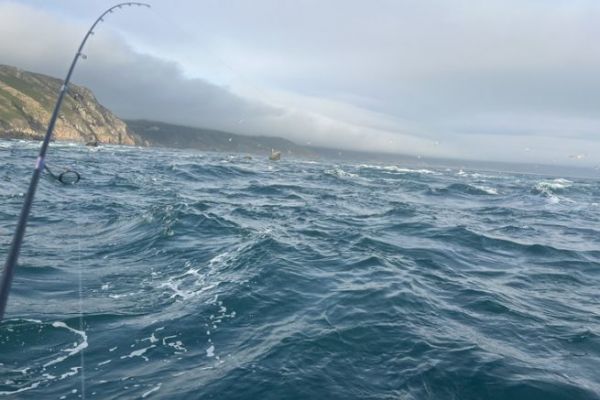 Las condiciones ventosas son ideales para la pesca de la lubina