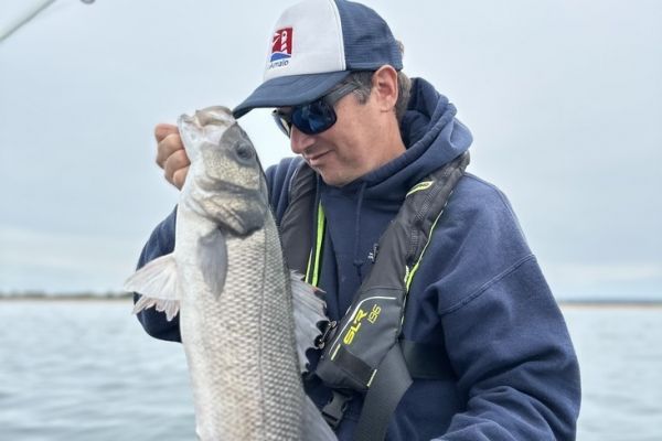 Excursin de pesca de lubinas
