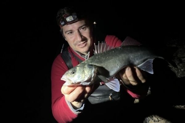 Pesca nocturna de lubinas