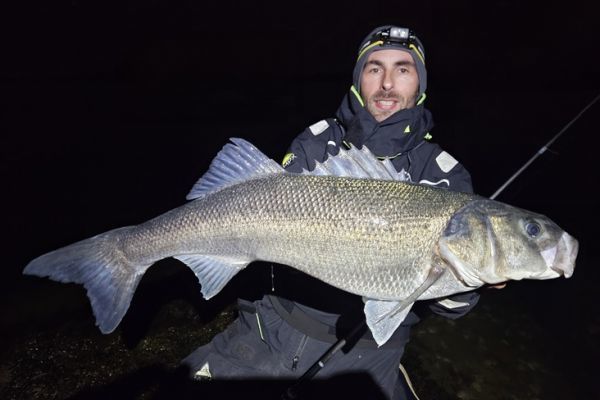 Conozca a Laurent Bouvet: �especialista en localizar grandes bares nocturnos!