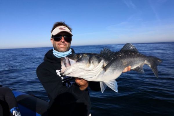 Pesca de lubina en tracción