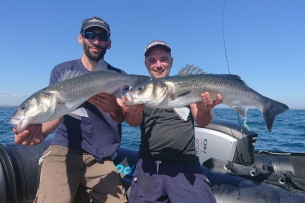 Pesca de traccin de lubinas