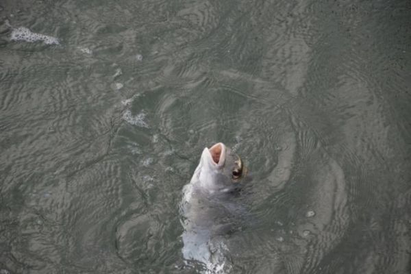 Pescar en el mar en oto�o