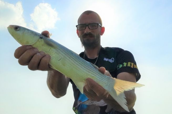 La pesca en los puertos ofrece buenos peces