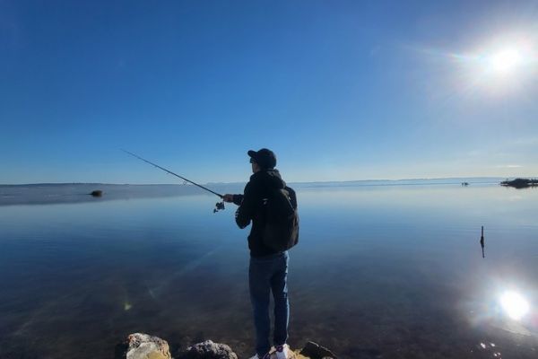 Pesca del pez lobo en estanques