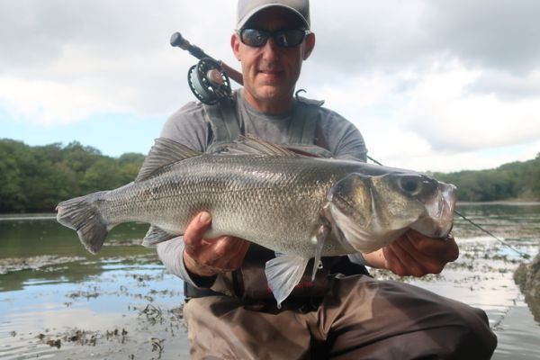 Es raro pescar muchas lubinas a la vista en la ra, pero a veces los planetas se alinean y propician una pesca estupenda