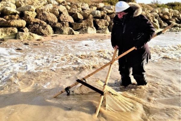 Pesca de gambas a pie, una forma divertida de pescar