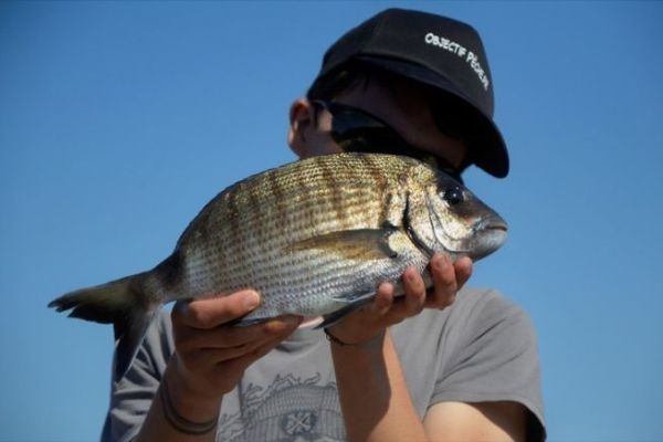 Pesca al toque en el mar