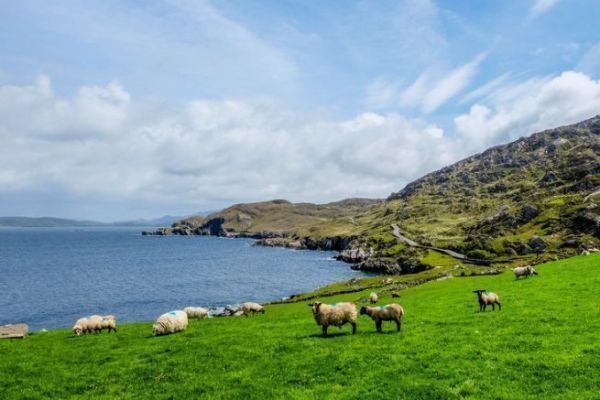 Irlanda es un destino de ensueo para los aficionados a la pesca