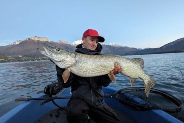 Bonito lucio en un lago alpino