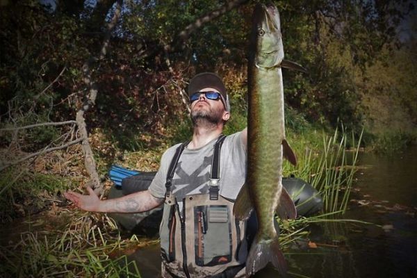 Muskellunge, uno de los peces de agua dulce ms grandes de Quebec.