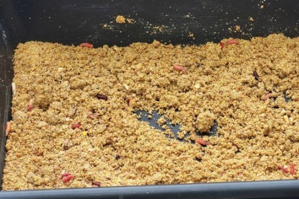 Pesca con cebo en agua dulce