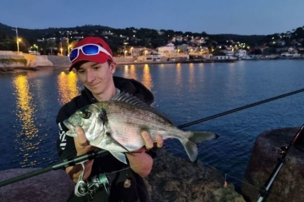 Pesca de dorada en el Mediterrneo