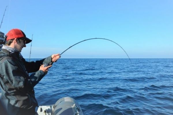 Declaracin obligatoria de capturas en 2026