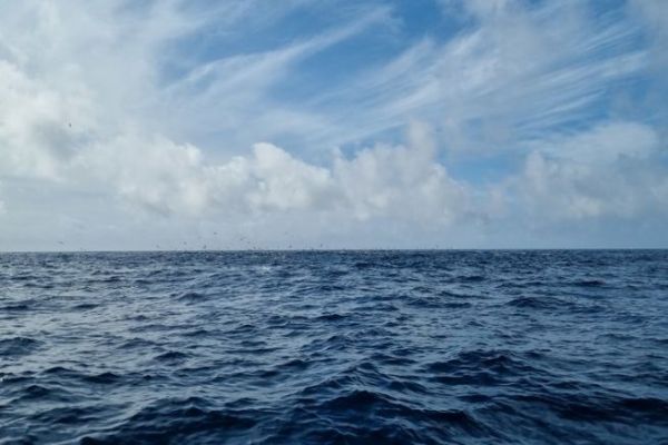 El fenómeno de las viviendas dobles y su impacto en la fauna salvaje