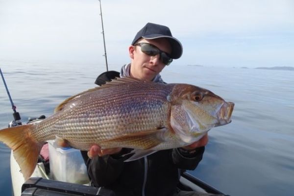 Pescar el denti con calamar