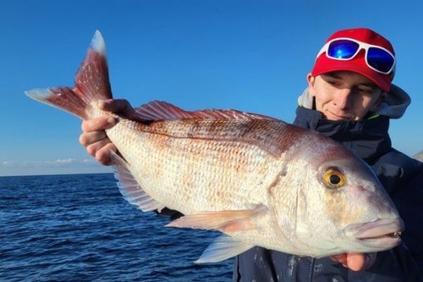 Pesca de pagre en el Mediterr�neo