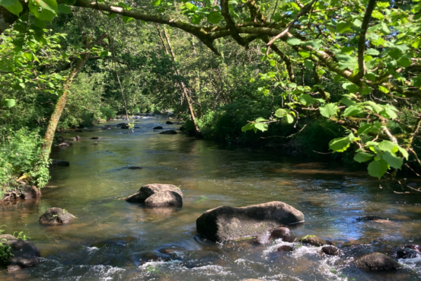 Prepararse para una nueva temporada no es algo que deba hacerse a la ligera