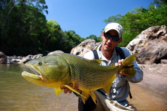 Pesca del dorado con mosca