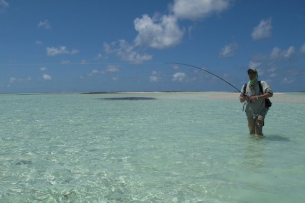 La pesca en aguas clidas es muy adictiva.