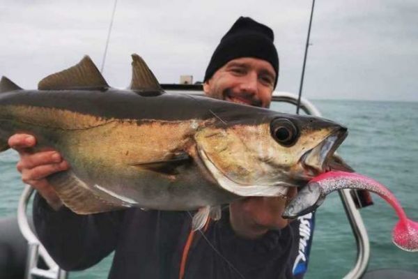 Determinar el color del seuelo