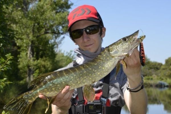 Equipo para la pesca con se�uelos