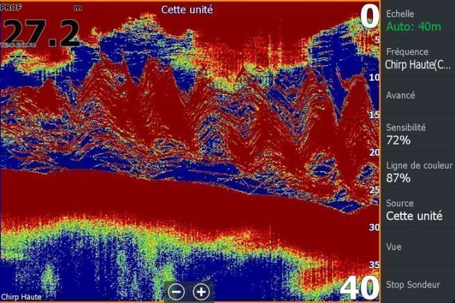 Banco de lubinas visto en una sonda Lowrance.