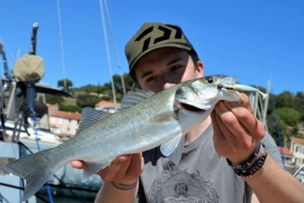 Pescar en septiembre en el Mediterráneo