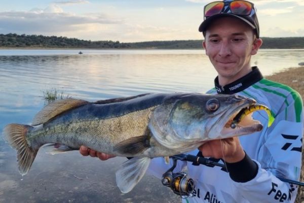 Pesca del lucioperca en otoño