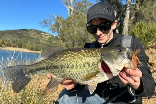 Jig flipping de goma para black bass