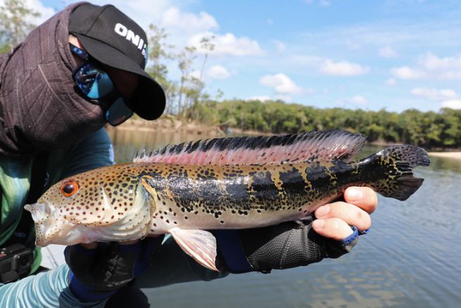 Mataguaro, r�o Mataven, Colombia.