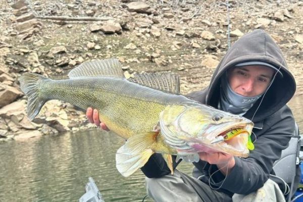 Prorex Slim Sombreado