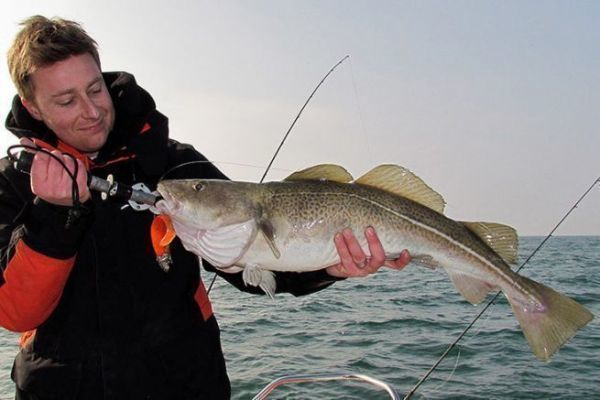 El bacalao se pesca con seuelos blandos.